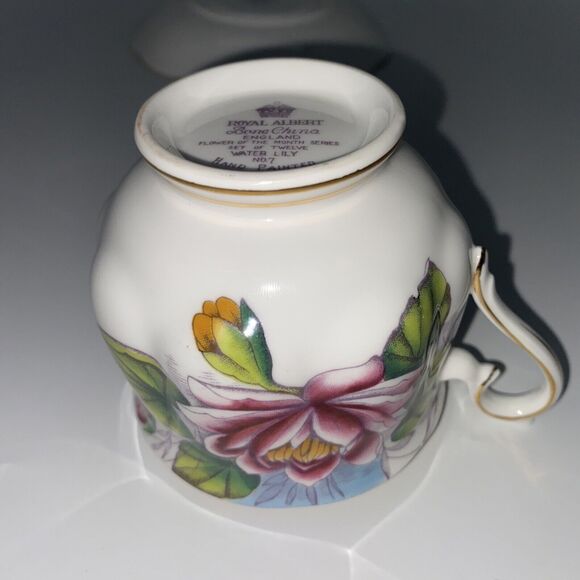 Royal Albert Flower of the Month Water Lily No. 7 Bone China Cup & Saucer Set - Picture 7 of 11